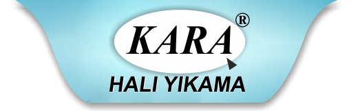 Eskişehir Kara Halı Yıkama Logo